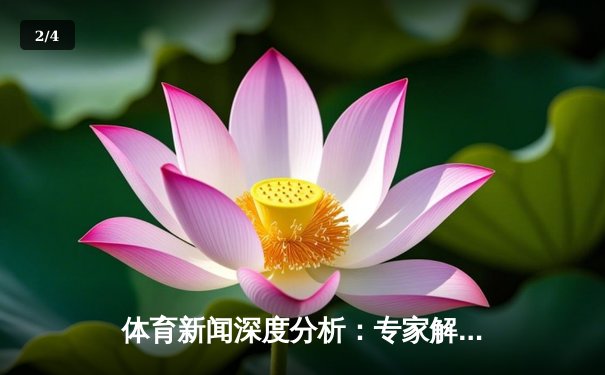 体育新闻深度分析：专家解读 - 2