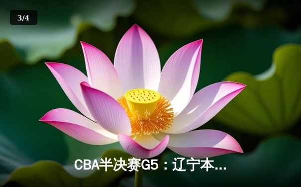 CBA半决赛G5：辽宁本钢加时逆转广东宏远 赵继伟33分率队挺进总决赛 - 3
